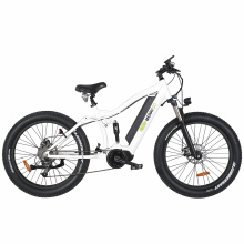 MID Drive Motor Lithium Battery Electric Bicycle with Pedal